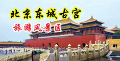 大鸡巴插插中国北京-东城古宫旅游风景区